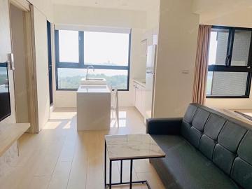 安平區含車管可補兩房