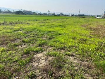 出租-大林交流道雙面20米路優質農地												 				