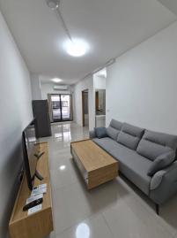 台南高鐵租屋 心安家茹啦啦高鐵特區晶悅合一可寵經典好宅兩房平車