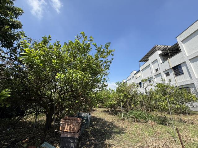 近未來高屏二快九如交流道建地(郊建608)屏東買賣土地 照片 2