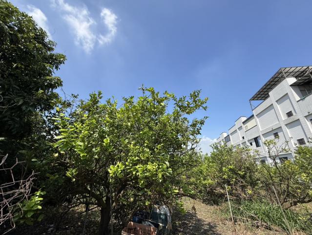 近未來高屏二快九如交流道建地(郊建608)屏東買賣土地 照片 3