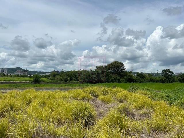 新竹徵收地 春明地產 新竹縣芎林鄉㊣富林路大寬農地 春明地產 照片 8
