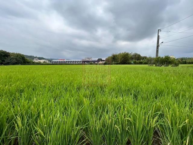 新竹徵收地 春明地產~新竹縣芎林鄉文山路正路邊農地 照片 1