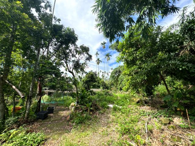嘉義農建地買賣 梅山水安靖村農建地 照片 5