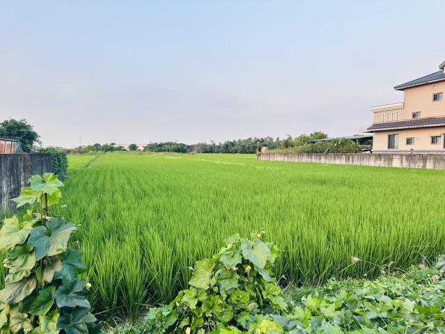 嘉義買土地專家 民雄好收3.4分農地 照片 5