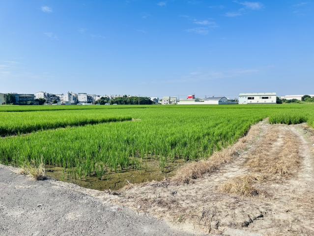 嘉義買土地專家 北社尾優質都計農地 照片 2