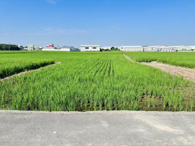 嘉義買土地專家 北社尾優質都計農地 照片 3