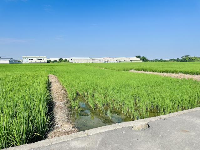 嘉義買土地專家 北社尾優質都計農地 照片 4