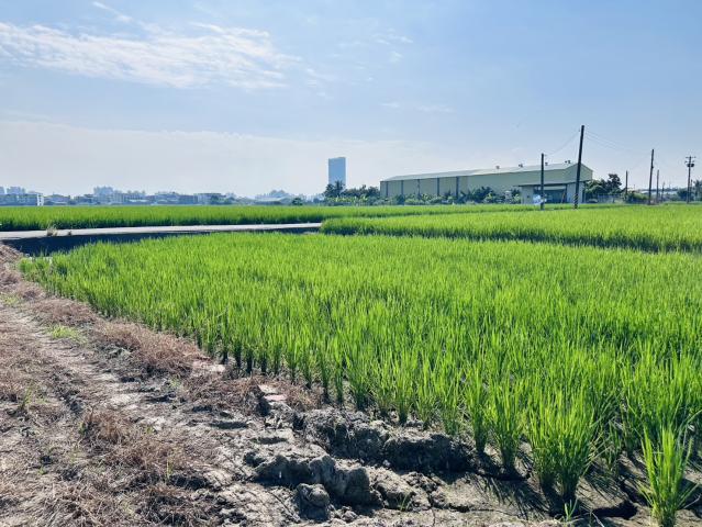 嘉義買土地專家 北社尾優質都計農地 照片 9