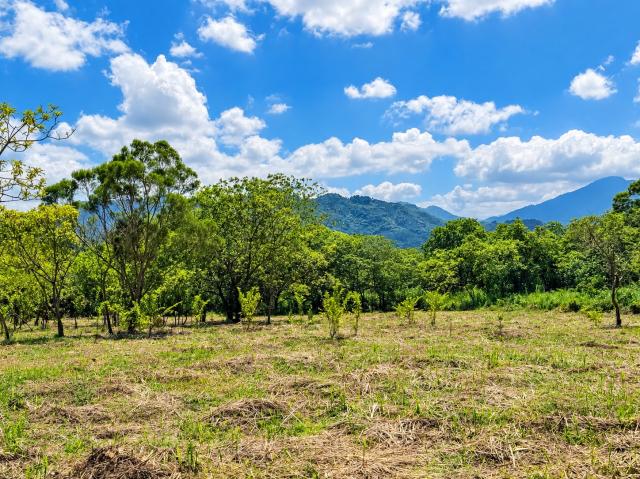 新竹房產顧問 北埔台3線臨路3782坪大面寬農林地|交通極便利 照片 4