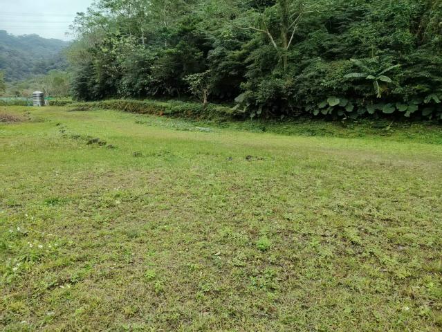 關西微風平坦美農地 新竹關西土地 照片 3