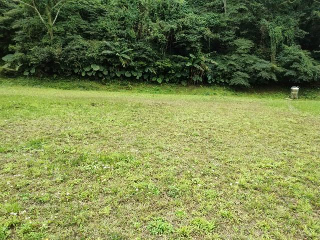 關西微風平坦美農地 新竹關西土地 照片 5