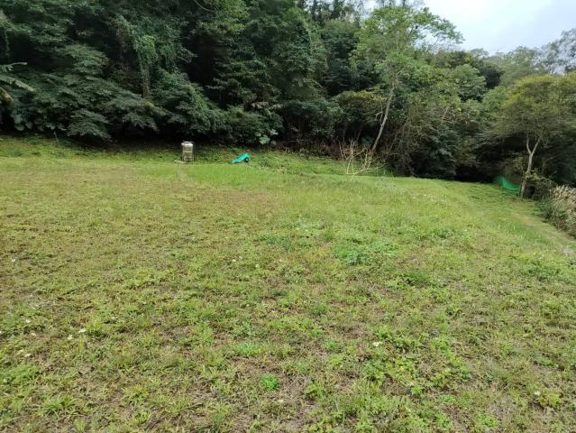 關西微風平坦美農地 新竹關西土地 照片 6