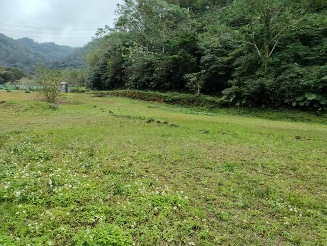 關西微風平坦美農地 新竹關西土地 照片 7