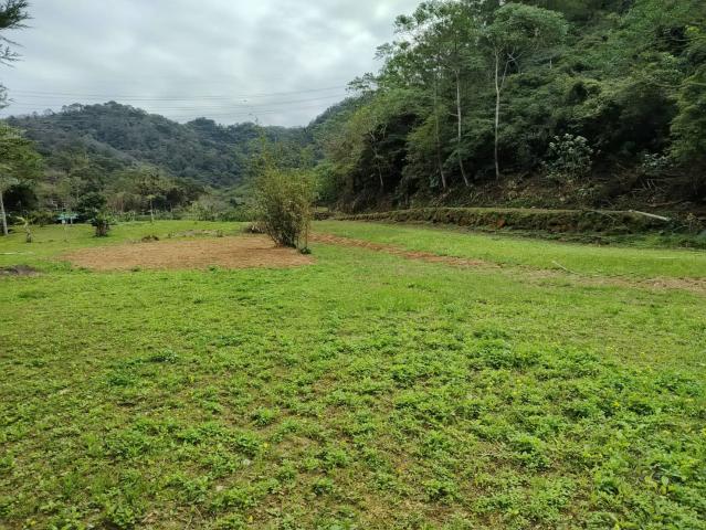 關西微風平坦美農地 新竹關西土地 照片 11