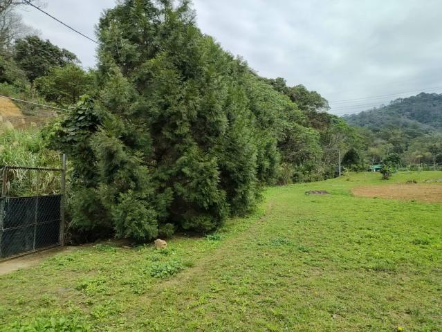 關西微風平坦美農地 新竹關西土地 照片 12