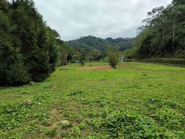關西微風平坦美農地 新竹關西土地 照片 13