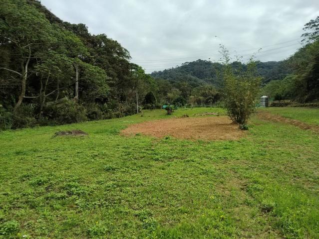 關西微風平坦美農地 新竹關西土地 照片 14
