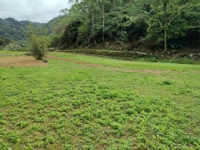 關西微風平坦美農地 新竹關西土地 照片 15