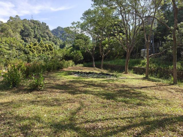 關西桔緣山居臨溪農莊(有合法資材室) 新竹關西土地 照片 3