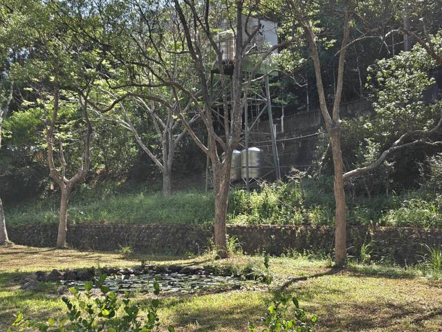 關西桔緣山居臨溪農莊(有合法資材室) 新竹關西土地 照片 6