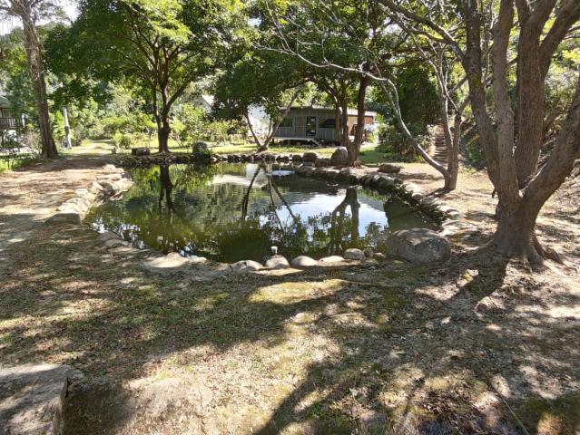 關西桔緣山居臨溪農莊(有合法資材室) 新竹關西土地 照片 8