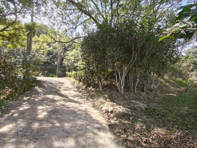 關西桔緣山居臨溪農莊(有合法資材室) 新竹關西土地 照片 9