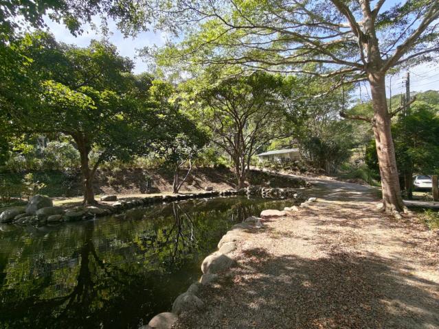 關西桔緣山居臨溪農莊(有合法資材室) 新竹關西土地 照片 10