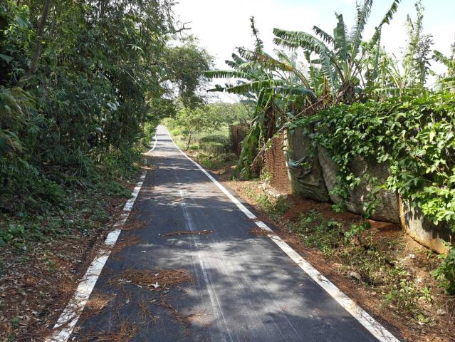 關西平坦茶園(六福) 新竹關西土地 照片 10