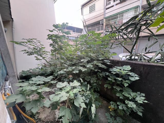 大里透天中古屋 大里大地坪車庫美別墅 照片 9