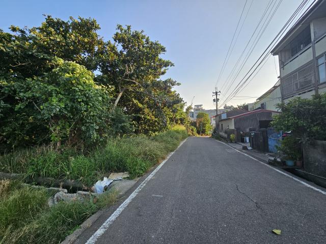 后里中科建案 水門路有水電稀缺田1244 照片 6