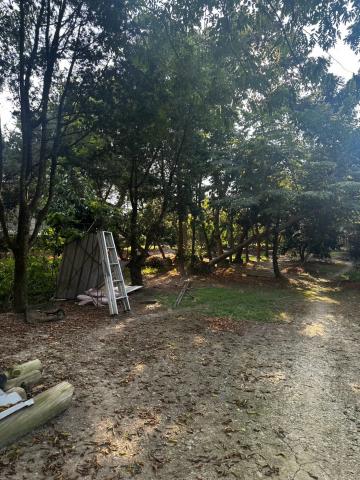 埔里市區旁雙合法農舍大面寬農地 埔里房地產 照片 9
