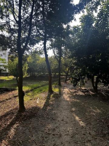 埔里市區旁雙合法農舍大面寬農地 埔里房地產 照片 10