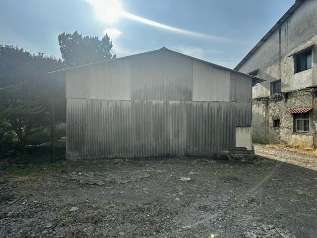 埔里市區旁雙合法農舍大面寬農地 埔里房地產 照片 3