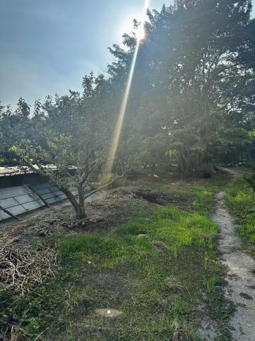 埔里市區旁雙合法農舍大面寬農地 埔里房地產 照片 5