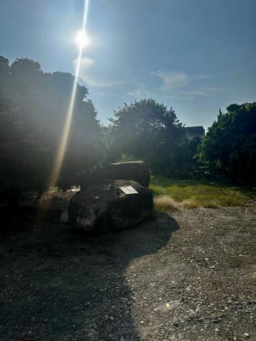 埔里市區旁雙合法農舍大面寬農地 埔里房地產 照片 7