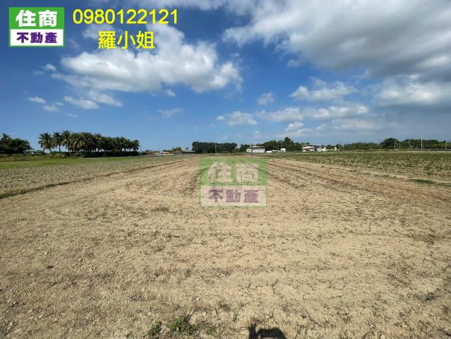 新化外環近國3方正農地 新化房屋土地 照片 1