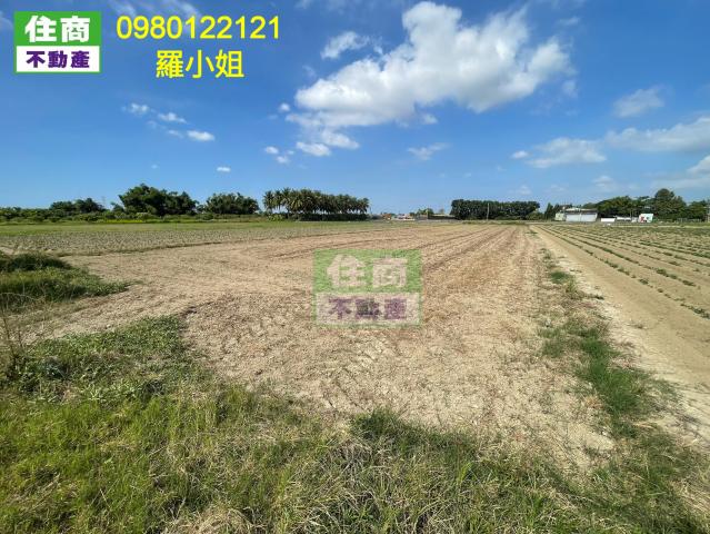 新化外環近國3方正農地 新化房屋土地 照片 4