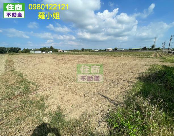 新化外環近國3方正農地 新化房屋土地 照片 5