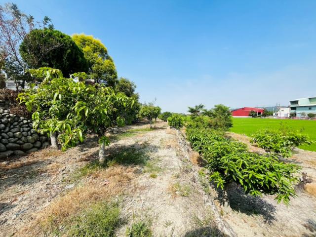 大台中土地買賣-草屯鳥嘴潭797坪農地 照片 4