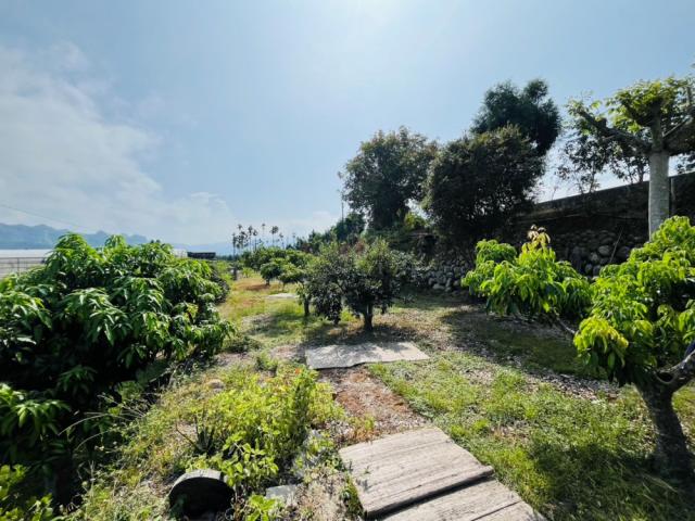 大台中土地買賣-草屯鳥嘴潭797坪農地 照片 5