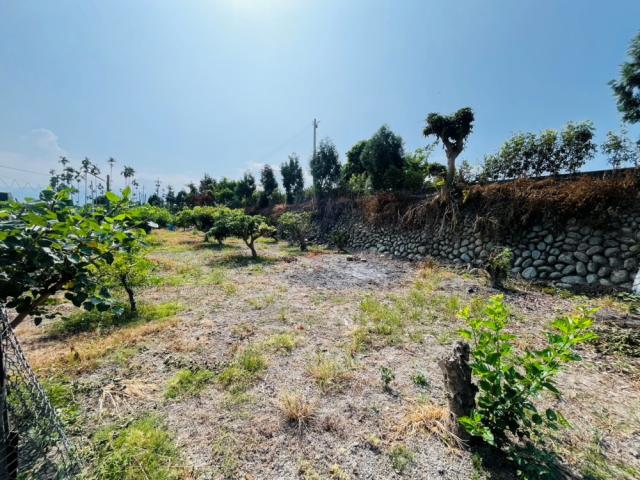 大台中土地買賣-草屯鳥嘴潭797坪農地 照片 8