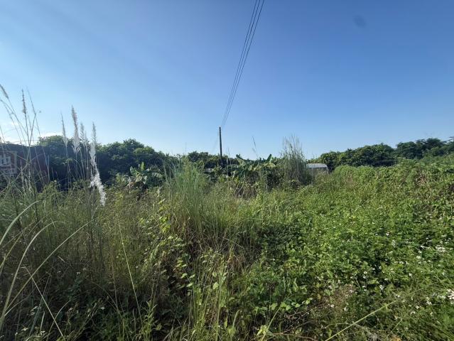 麟洛民族農地 屏東不動產 照片 1