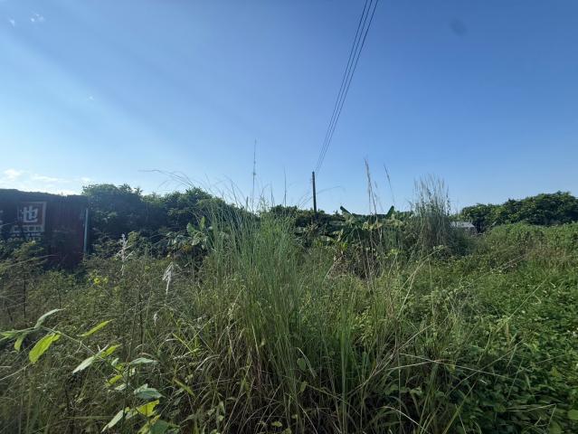 麟洛民族農地 屏東不動產 照片 3