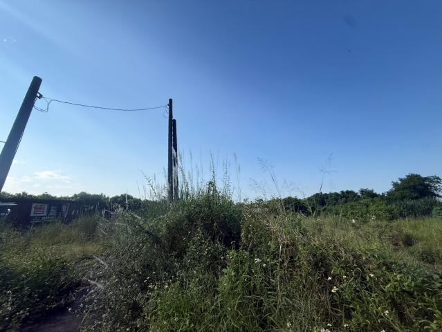麟洛民族農地 屏東不動產 照片 7