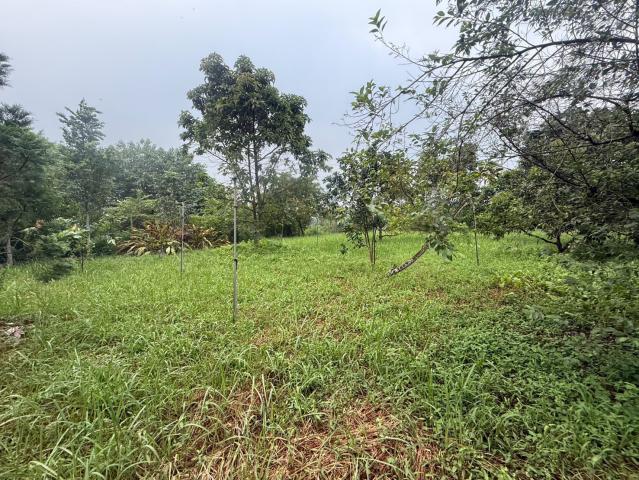 萬巒山景農地 屏東不動產 照片 1