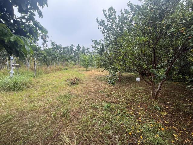 萬巒山景農地 屏東不動產 照片 8