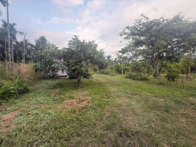 萬巒山景農地 屏東不動產 照片 11