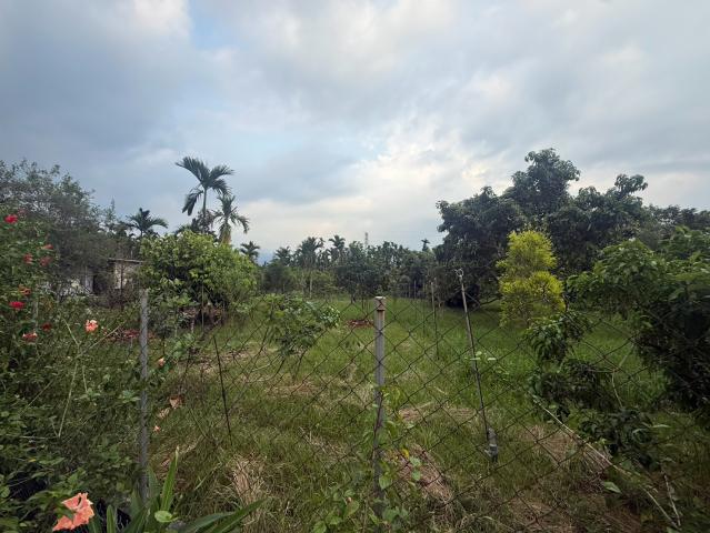 萬巒山景農地 屏東不動產 照片 12