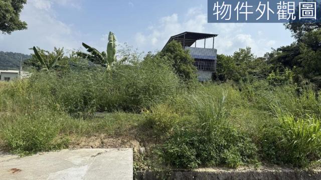 草屯中正路大面寬前後臨路農地附農舍 照片 4